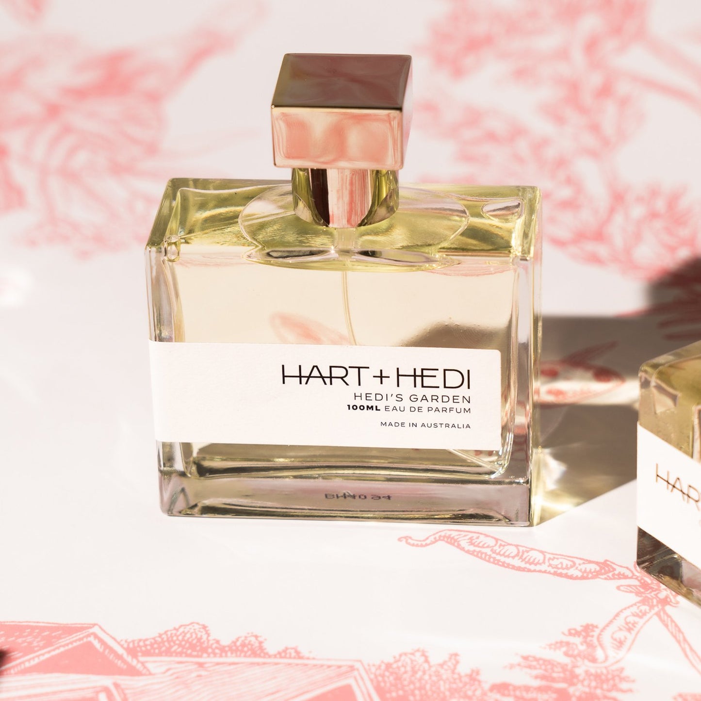 HEDIS GARDEN 100mL