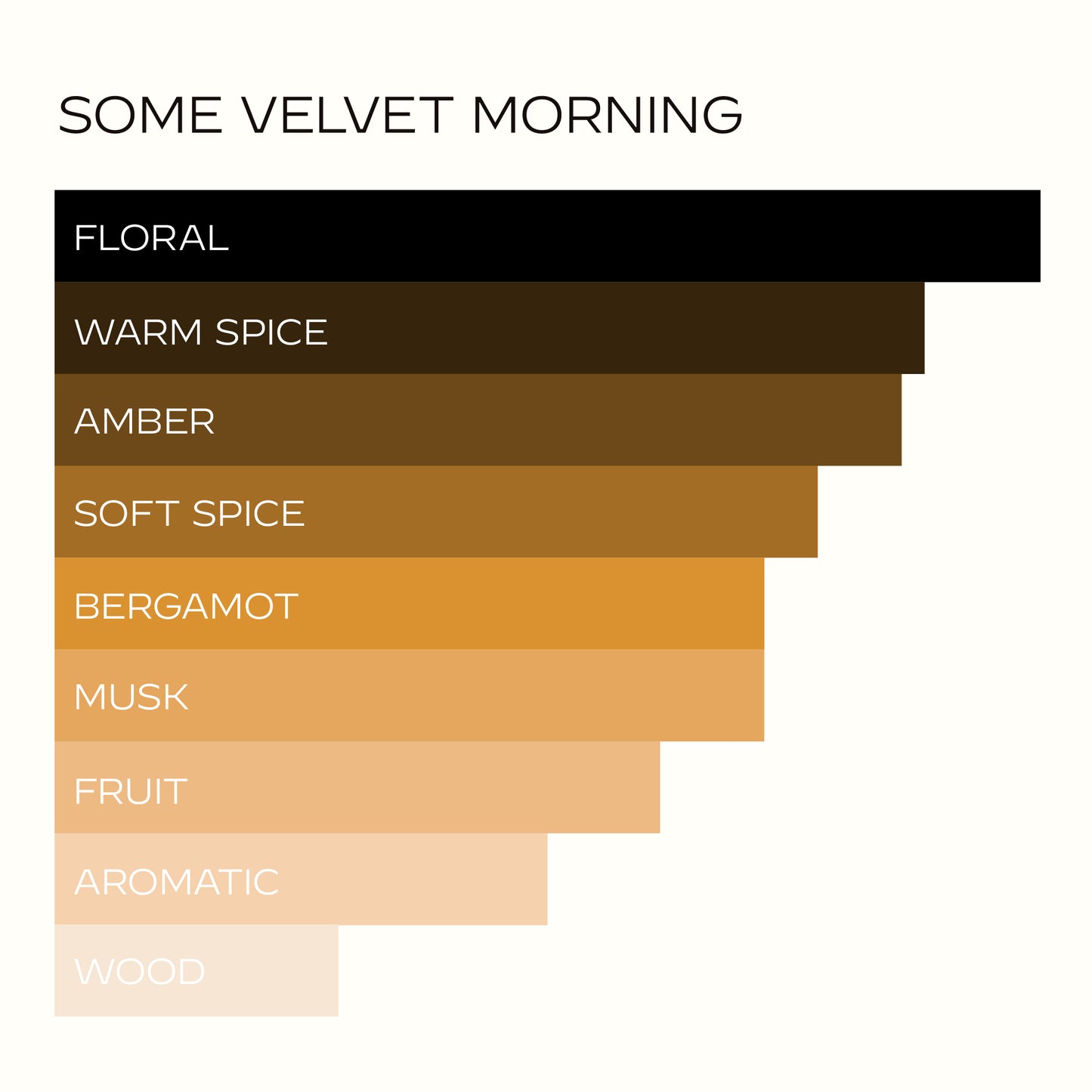 SOME VELVET MORNING